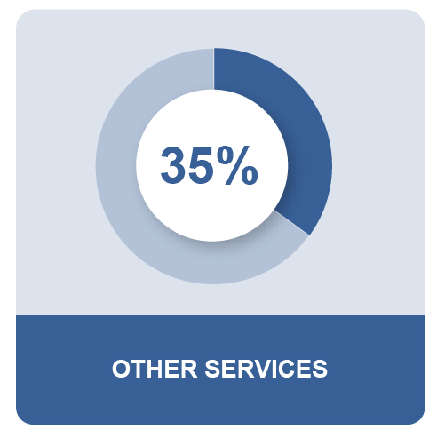 MPG_Q4_CanadaMEOSPieIcon8_31_22_OtherServices